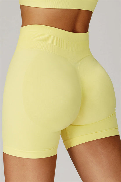 The Sculpt Sports Bra Shorts 2-Piece Set