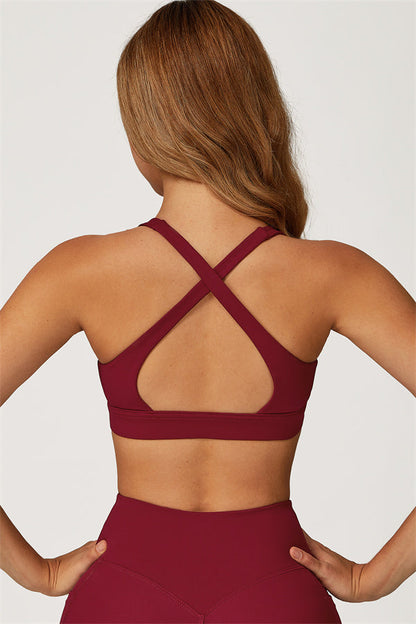 The Glacier Sports Bra