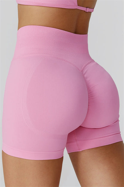 The Reign Crop Top Shorts 2-Piece Set