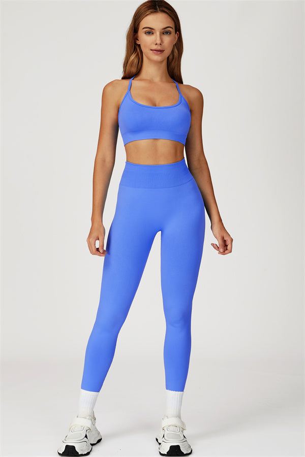The Sculpt Sports Bra