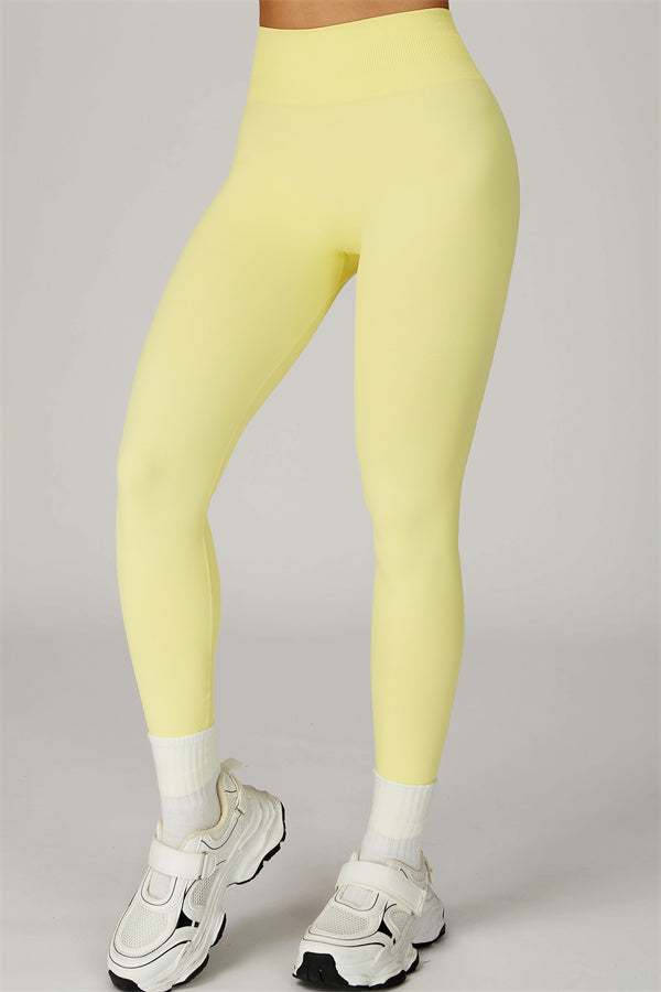 The Sculpt Leggings