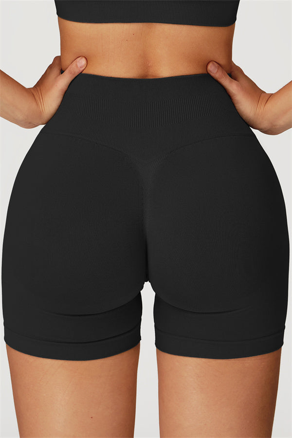 The Sculpt Sports Bra Shorts 2-Piece Set