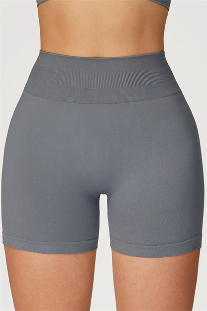 The Sculpt Sports Bra Shorts 2-Piece Set