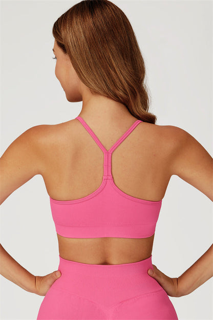 The Sculpt Sports Bra