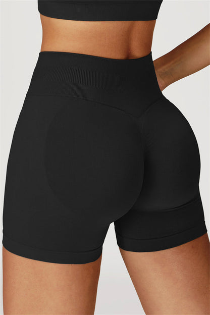 The Sculpt Crop Top Shorts 2-Piece Set