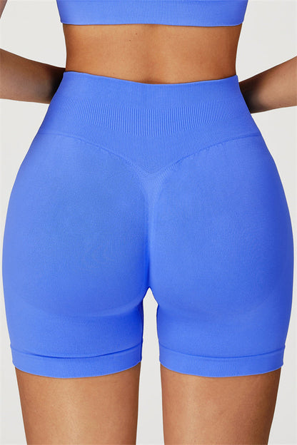 The Sculpt Sports Bra Shorts 2-Piece Set