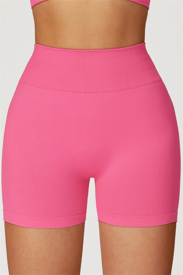 The Sculpt Crop Top Shorts 2-Piece Set