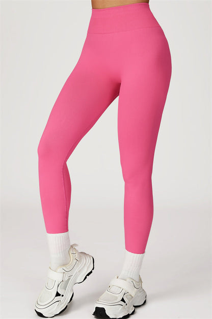The Sculpt Leggings