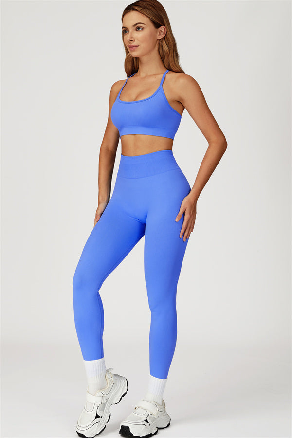 The Sculpt Sports Bra