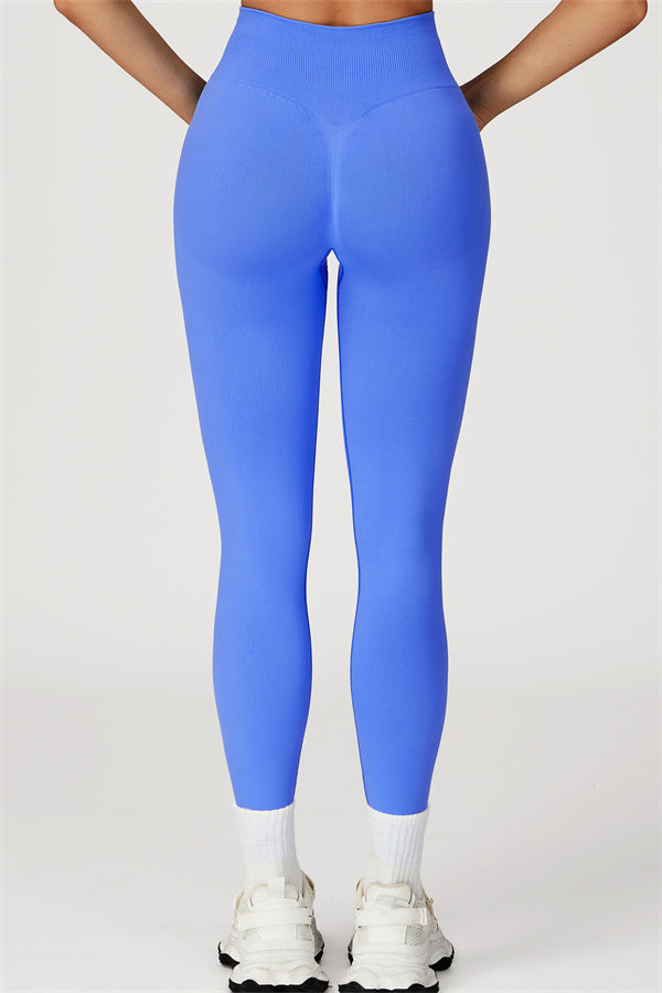 The Sculpt Leggings