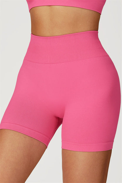 The Sculpt Crop Top Shorts 2-Piece Set